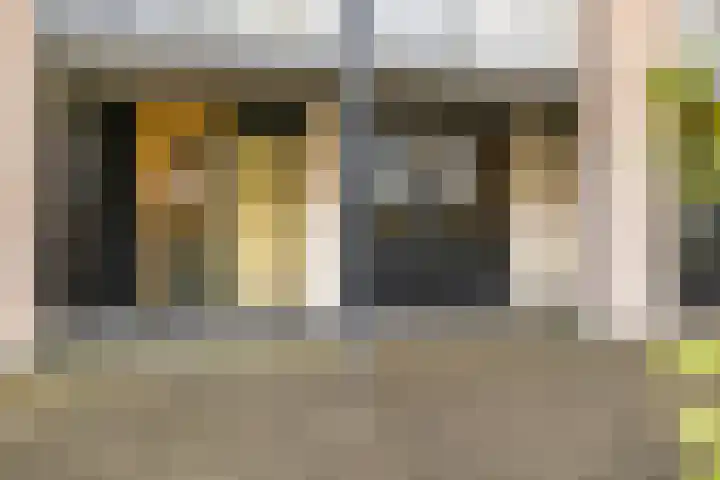 Dubčeksingel 40 Ede thumbnail 7