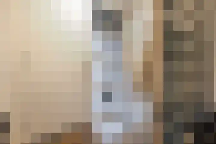 Dubčeksingel 40 Ede thumbnail 8