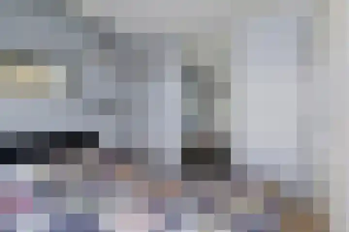 Dubčeksingel 98 Ede thumbnail 11
