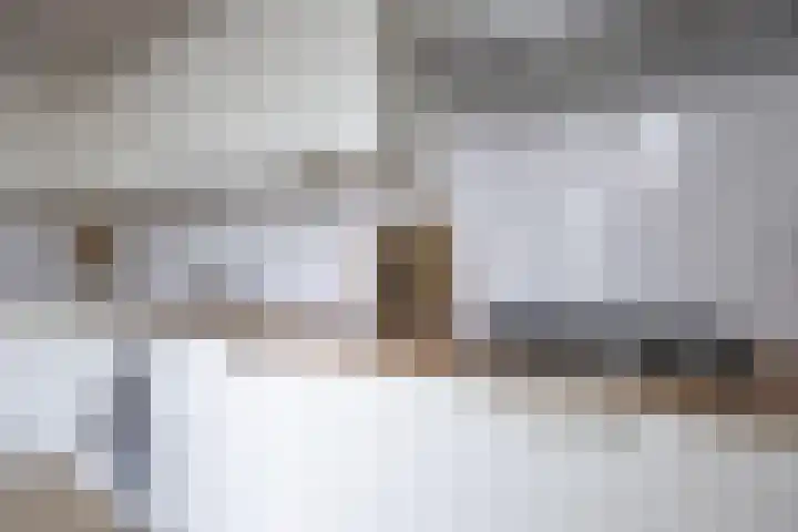 Dubčeksingel 98 Ede thumbnail 12