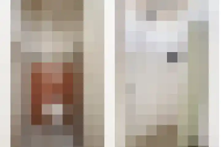Dubčeksingel 98 Ede thumbnail 14