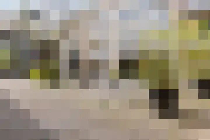 Dubčeksingel 98 Ede thumbnail 29