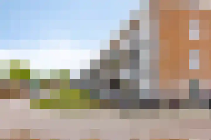 Dubčeksingel 98 Ede thumbnail 31