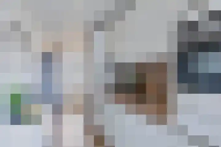 Dubčeksingel 98 Ede thumbnail 8