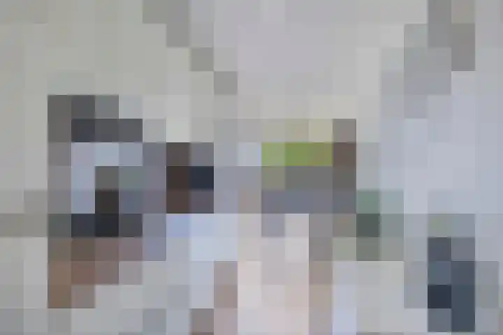 Dubčeksingel 98 Ede thumbnail 9