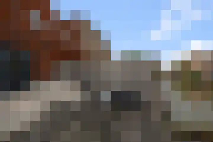 Dudenpark 2 Assendelft thumbnail 16