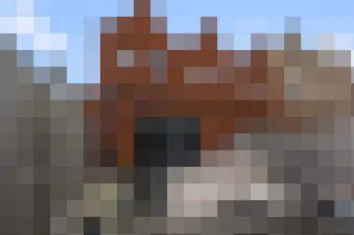 Dudenpark 2 Assendelft thumbnail 17