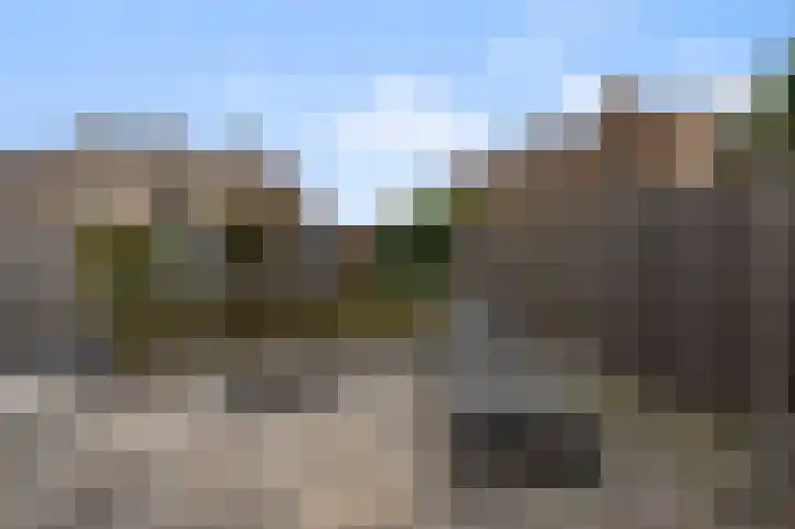Dudenpark 2 Assendelft thumbnail 19
