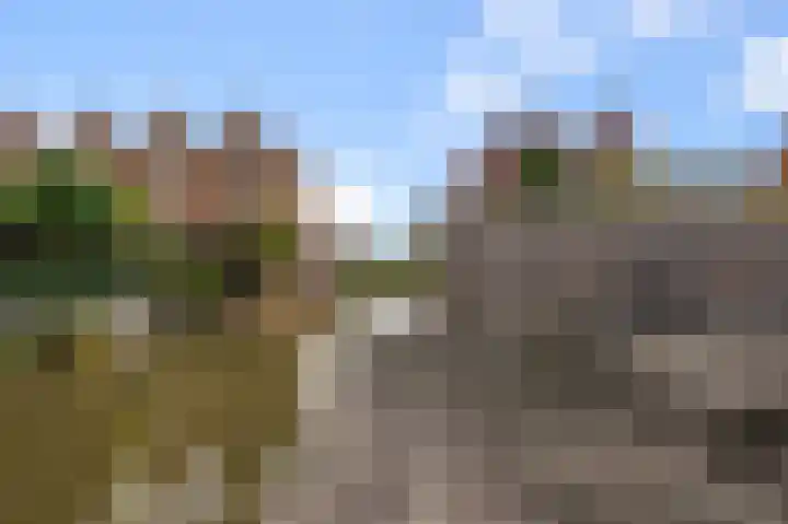 Dudenpark 2 Assendelft thumbnail 21