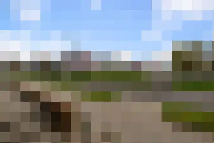 Dudenpark 2 Assendelft thumbnail 22