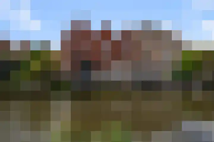Dudenpark 2 Assendelft thumbnail 23