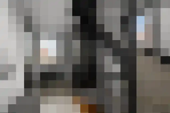 Dudenpark 2 Assendelft thumbnail 29
