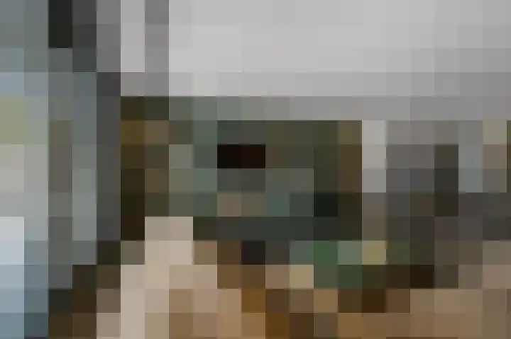 Dudenpark 2 Assendelft thumbnail 7