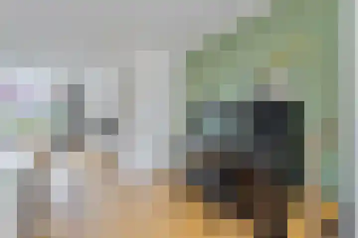 Dudokhof 61 Tilburg thumbnail 10