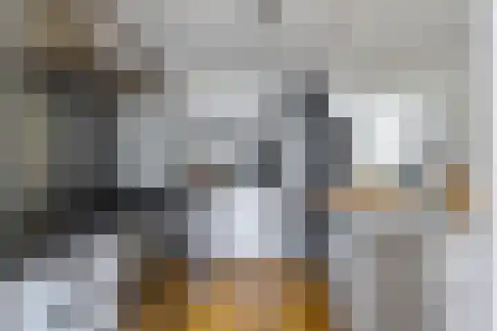 Dudokhof 61 Tilburg thumbnail 14