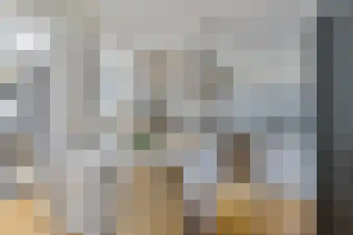Dudokhof 61 Tilburg thumbnail 15