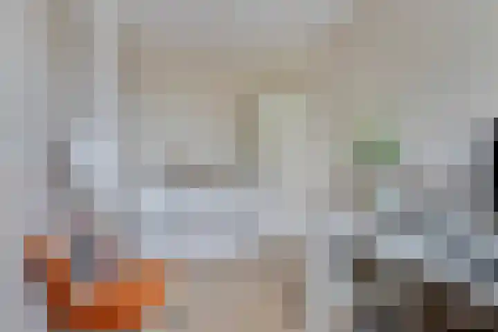 Dudokhof 61 Tilburg thumbnail 29