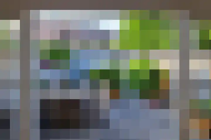 Dudokhof 61 Tilburg thumbnail 37