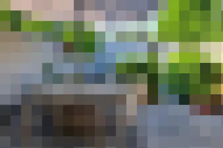 Dudokhof 61 Tilburg thumbnail 38