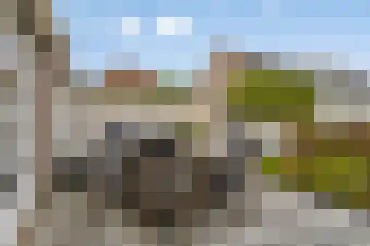 Dudokhof 61 Tilburg thumbnail 40