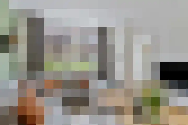 Dudokhof 61 Tilburg thumbnail 8