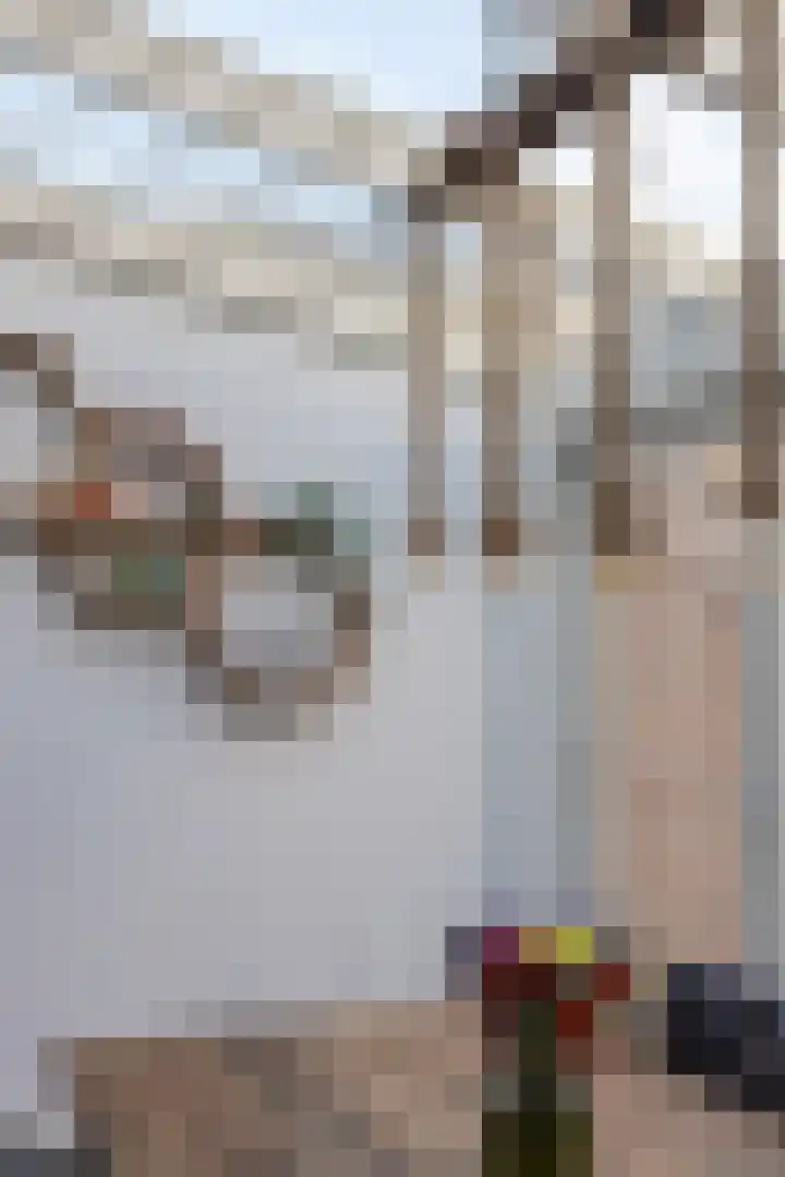 Dudokhof 84 Tilburg thumbnail 18