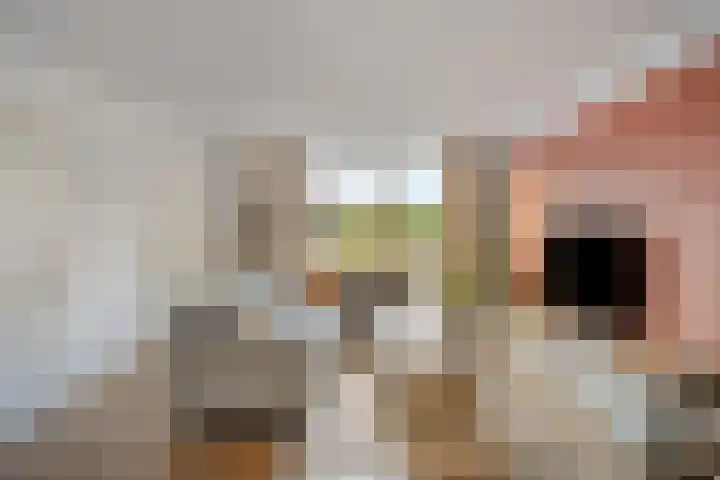 Dudokhof 84 Tilburg thumbnail 9