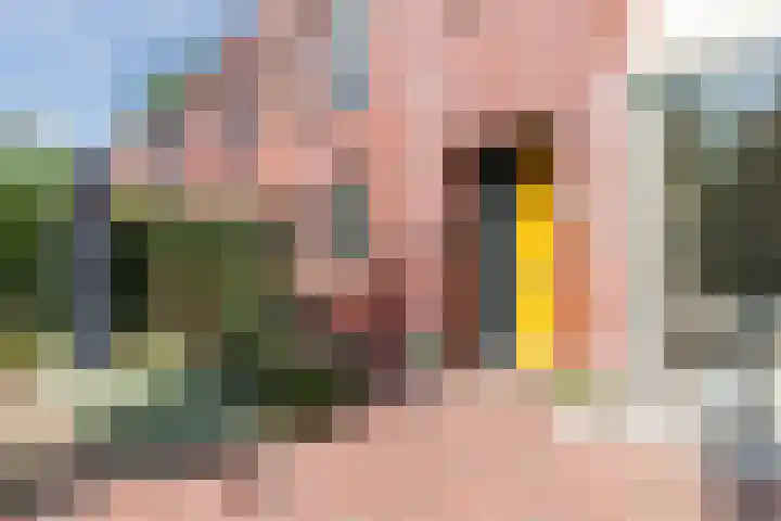 Dudoksingel 23 Utrecht thumbnail 4