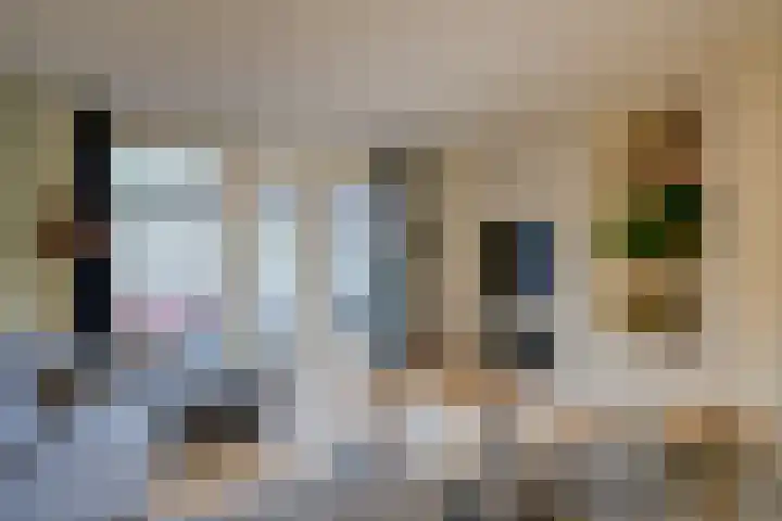 Dudoksingel 25 Utrecht thumbnail 21