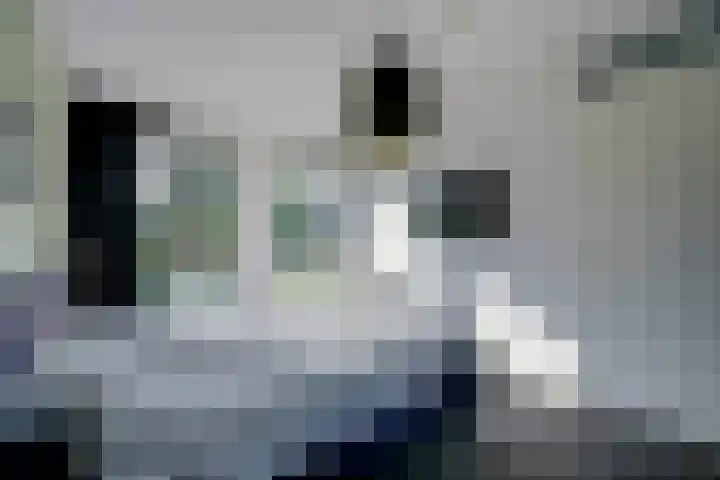 Dudoksingel 25 Utrecht thumbnail 41