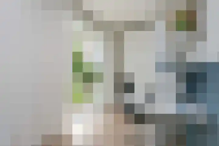 Dudoksingel 3 Utrecht thumbnail 13