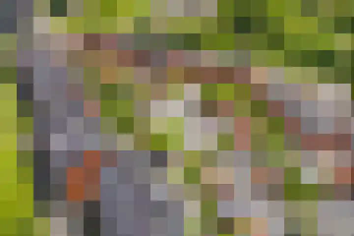 Dudoksingel 3 Utrecht thumbnail 24