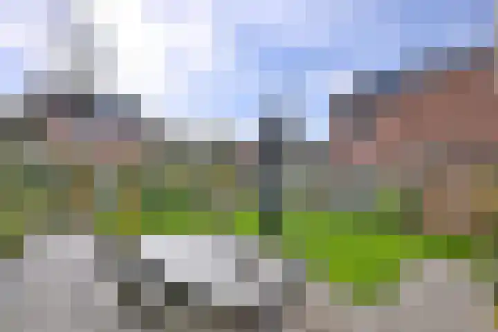 Dudokstraat 14 Deventer thumbnail 34