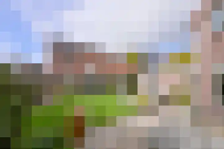 Dudokstraat 14 Deventer thumbnail 38
