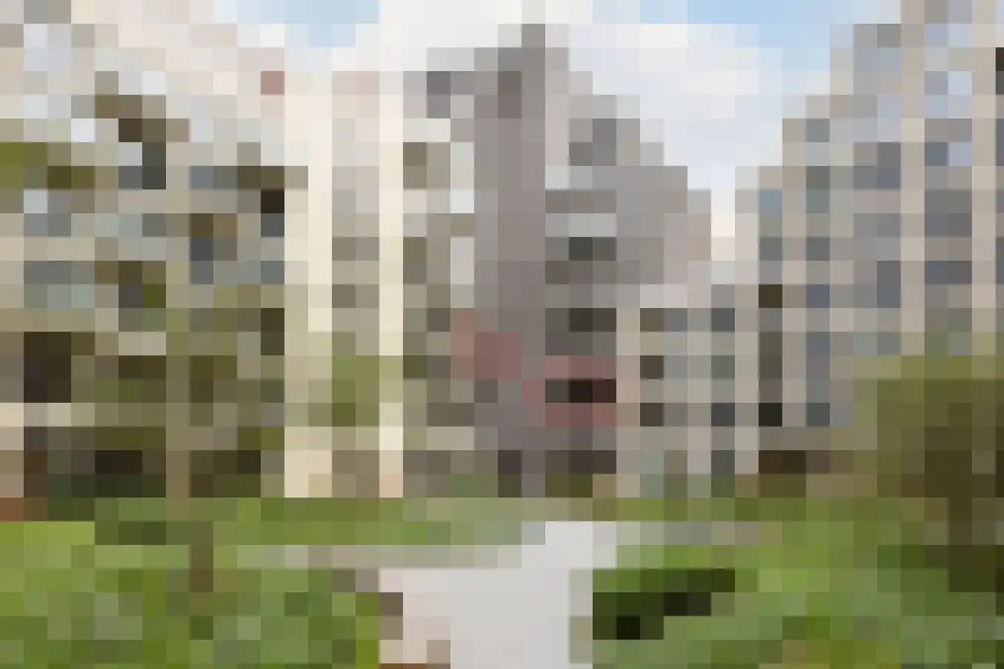 Dudokstraat 36 in Hoofddorp