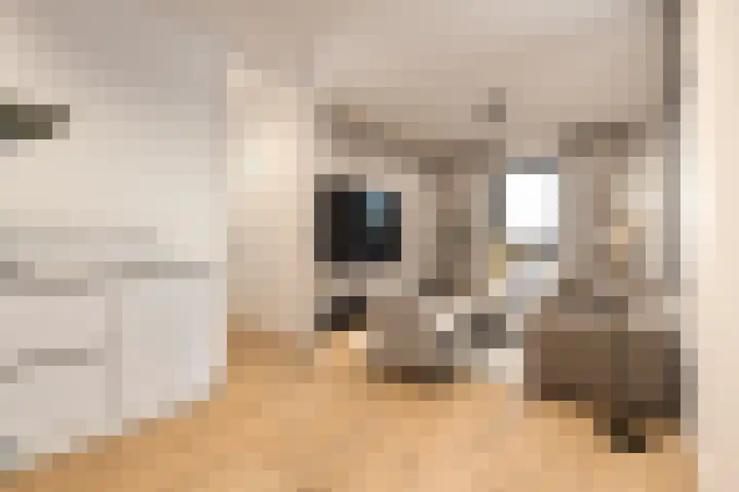 Dudokstraat 60 Hoofddorp thumbnail 24