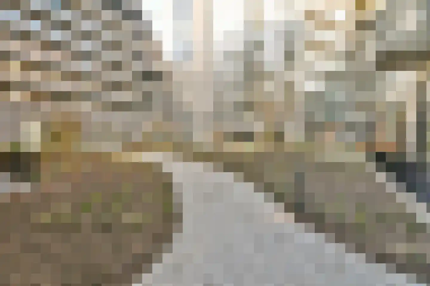 Dudokstraat 60 Hoofddorp thumbnail 7