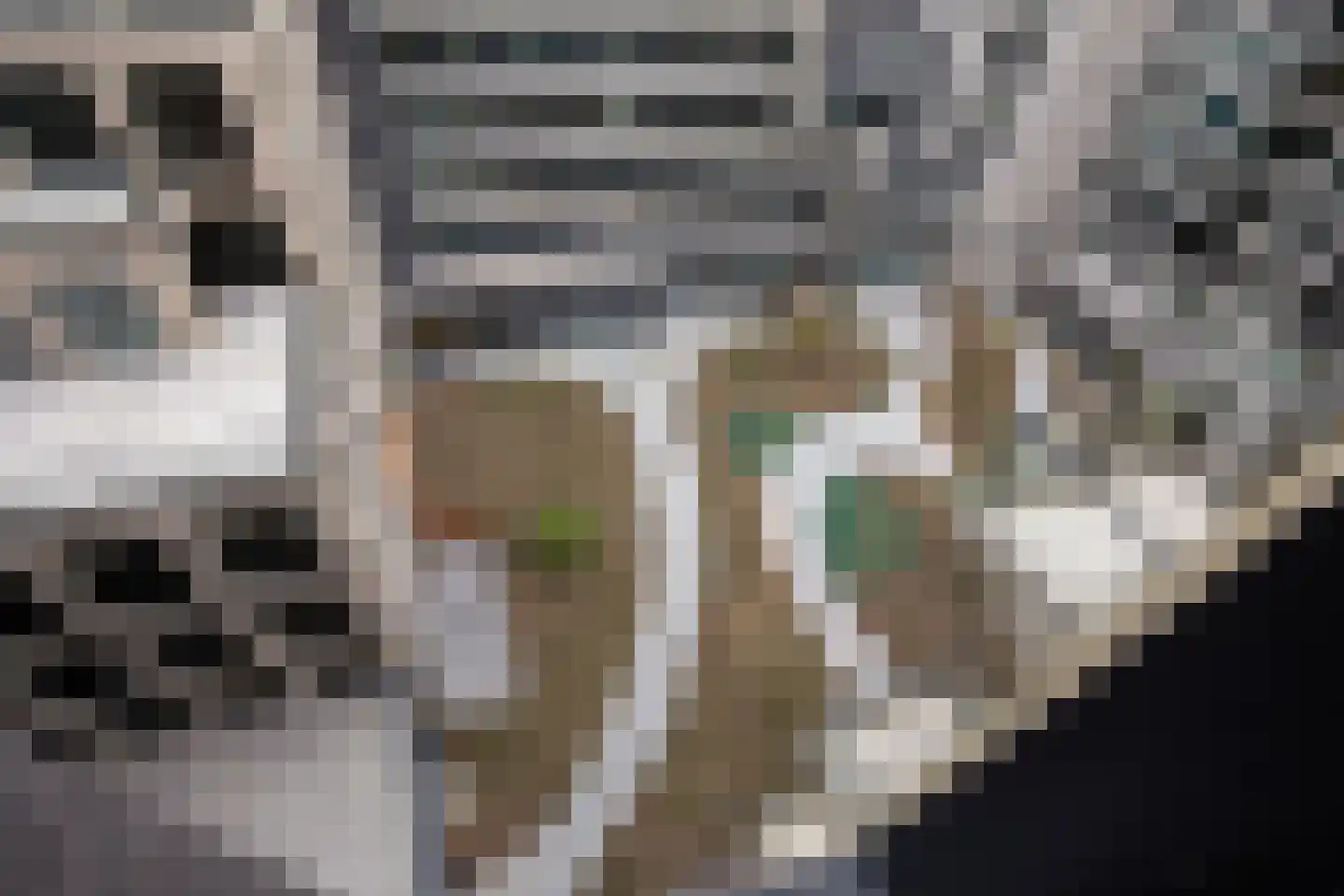Dudokstraat 76 Hoofddorp thumbnail 35
