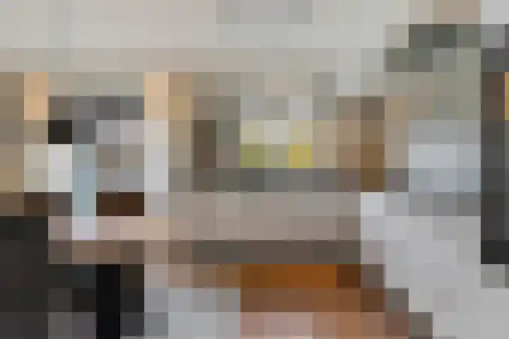 Duifkruid 16 Boxmeer thumbnail 11