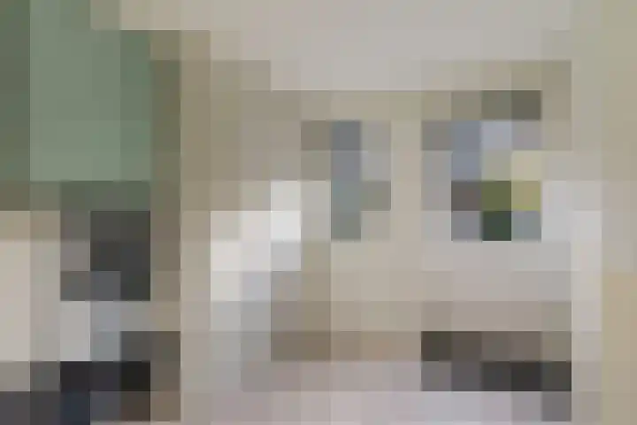 Duifkruid 16 Boxmeer thumbnail 13
