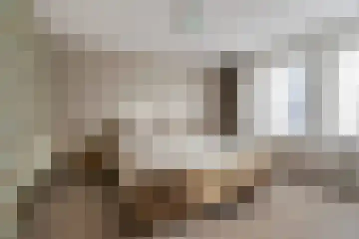 Duifkruid 16 Boxmeer thumbnail 15