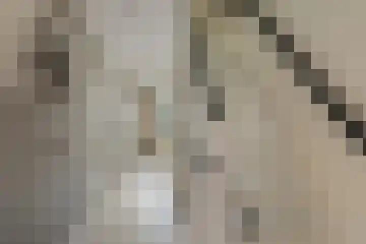 Duifkruid 16 Boxmeer thumbnail 22