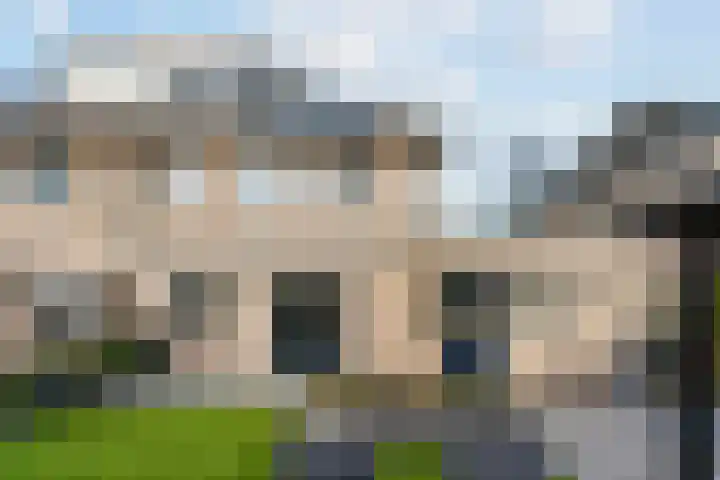 Duifkruid 16 Boxmeer thumbnail 24
