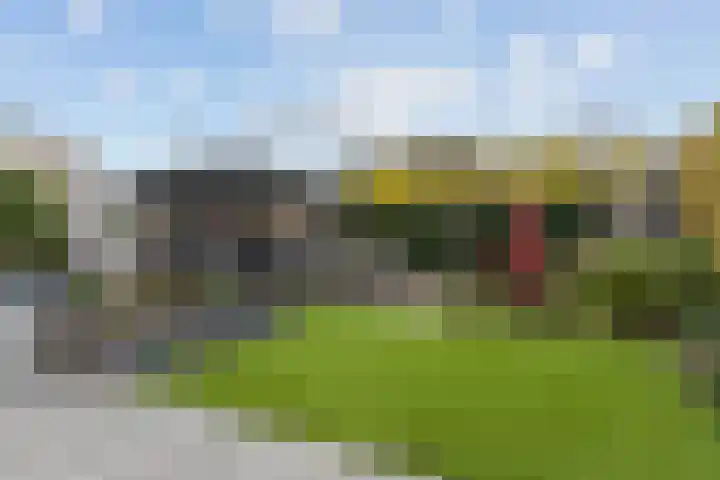 Duifkruid 16 Boxmeer thumbnail 26