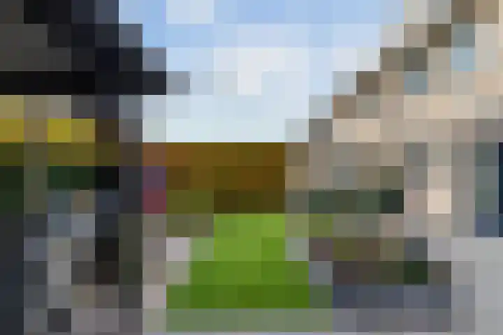 Duifkruid 16 Boxmeer thumbnail 27