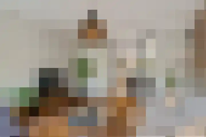 Duifkruid 16 Boxmeer thumbnail 7