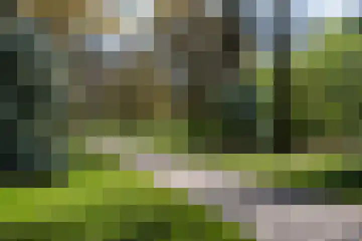 Duifstraat 66 Tilburg thumbnail 30
