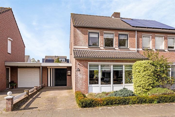 Duiker 14 in Oss foto