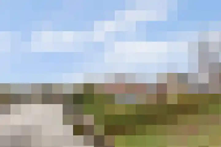 Duiker 16 Sneek thumbnail 11