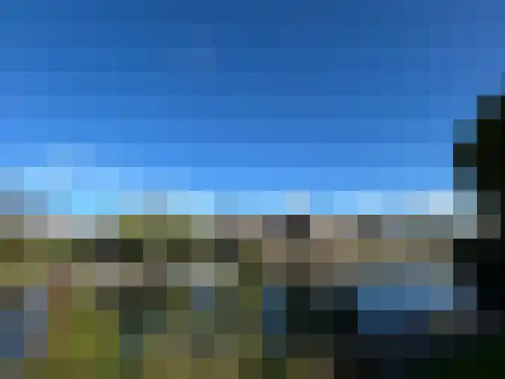 Duiker 16 Sneek thumbnail 13